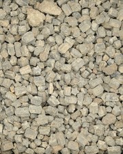 Genuine Crinoid Star Fossils