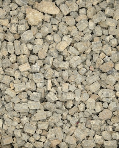 Genuine crinoid star fossils - crinoid,