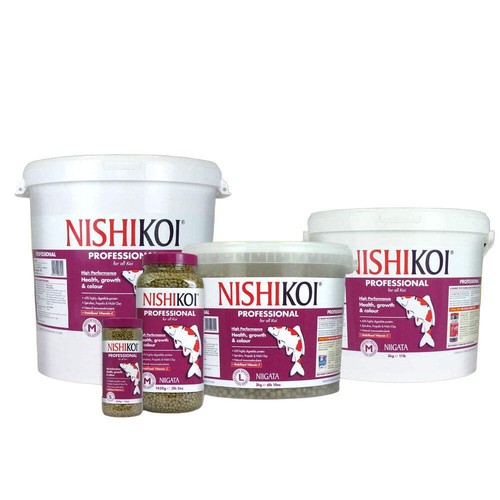 Nishikoi niigata professional - niigata,