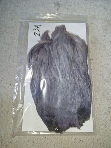Hen cape fly - hen, cape,fly