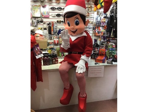 Professional naughty elf - professional,