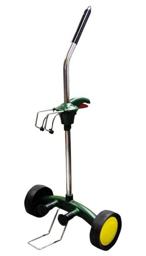 Garden wheeled flower - garden, flower/plant