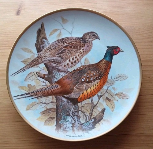 Capercailie game birds of - capercailie,