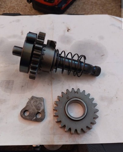 Rotax 257 kickstart - rotax,