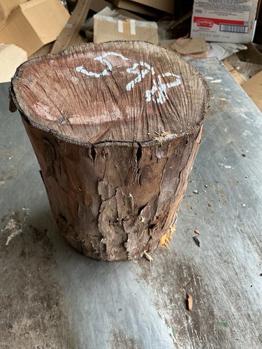 Yew wood - wood,yew, timber,yew