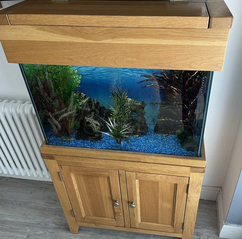 Oak fish tank - fish, 100l