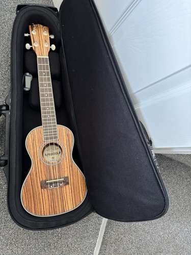 Lindo concert ukulele with - lindo,