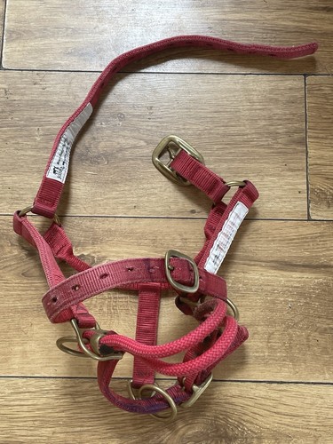 Monty roberts dually - monty,