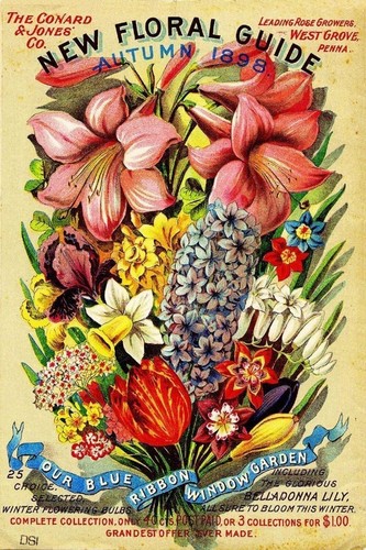 Floral gardening vintage