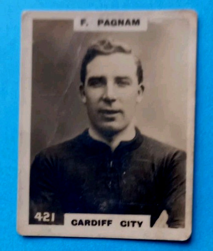 Fred pagnam cardiff liverpool - fred,
