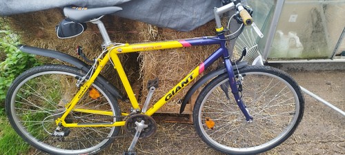 Rare 1997 giant - rare,