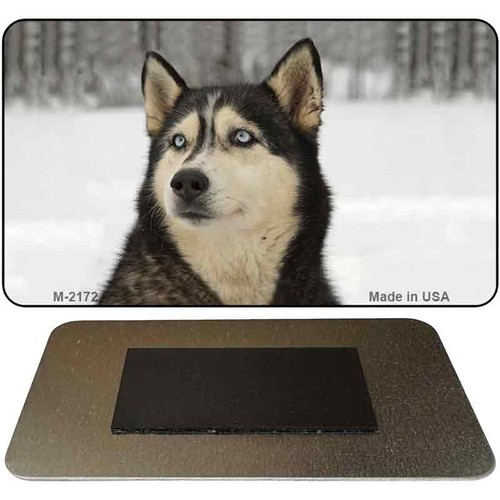 Husky novelty metal magnet - husky,