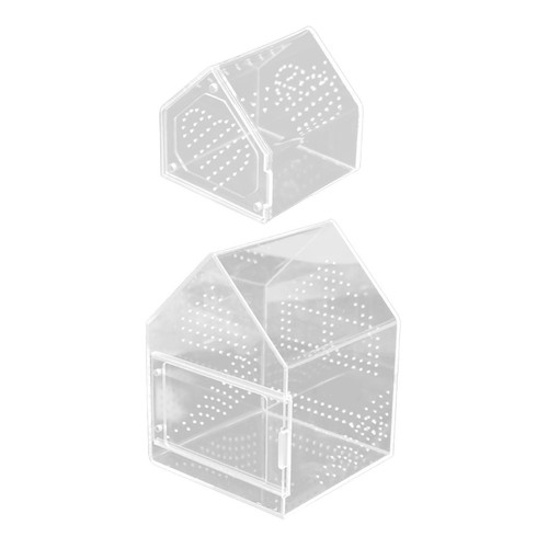 Jumping spider enclosure - jumping,