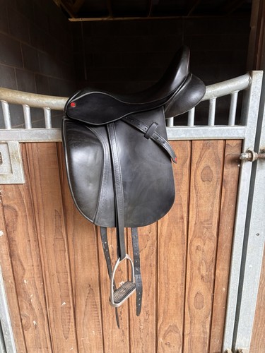 Ass flair dressage - ass, 17"