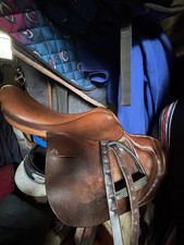 Full Tree racing Exercise