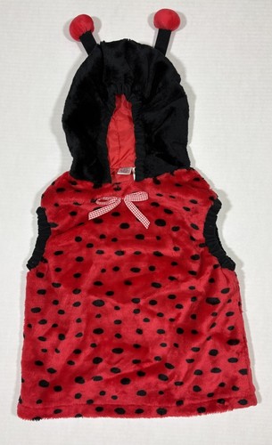 Lady bug child halloween - bug,