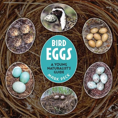 Bird eggs mark peck - mark,