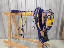 Biothane Quick Hitch Horse Harness Blue And Yellow With Rubber Girth Trotting