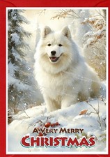 Samoyed Dog A6 (4"x 6") Christmas Card (Blank inside) - designed by Starprint