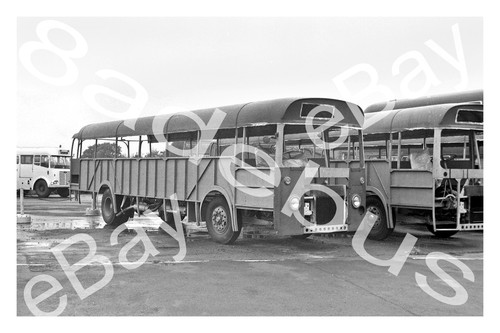 Bus photograph midland - photograph,