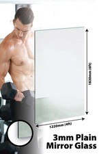 Large Mirror GLASS GYM OR