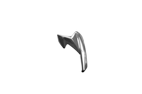 Carbon side panels for triumph - carbon,