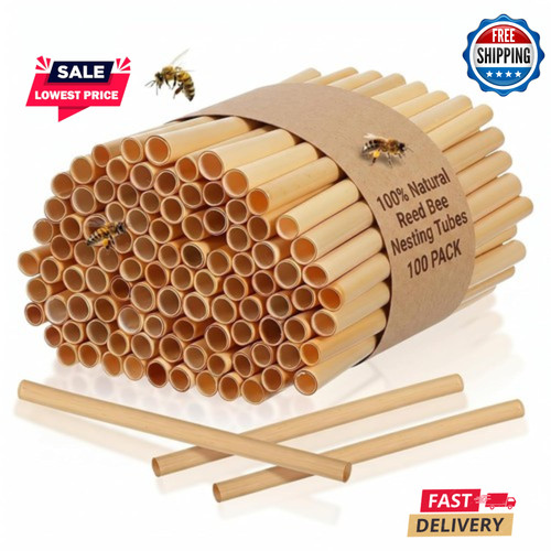 100 pack natural reed - 100,