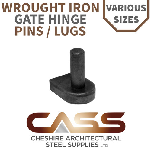 Wrought iron gate - gate, pins