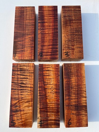 Hawaiian curly koa tool - curly,