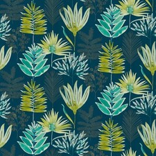 Harlequin - Zapara - Yasuni -