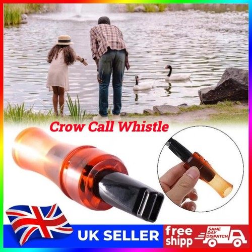 Outdoor crow rook call - call, whistle