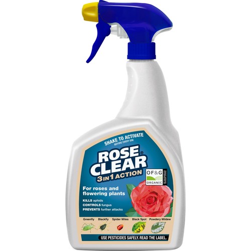 Rose clear spray for - clear,