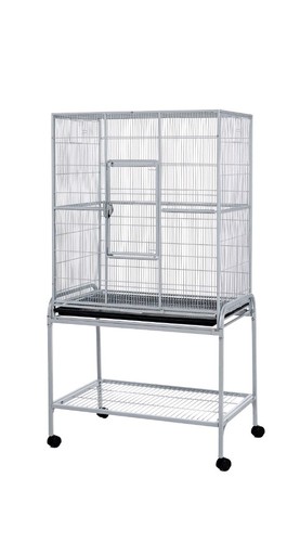 Birds rats chinchillas - birds,