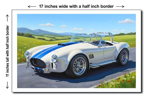 1965 shelby cobra 11x17 - cobra, 9