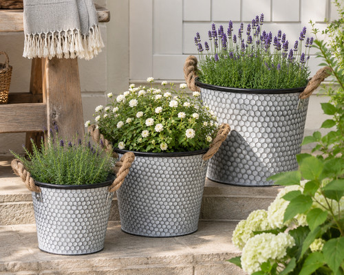 Galvanised metal planter - metal,