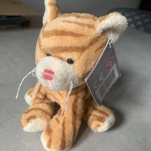 Tesco ginger white cat - ginger,