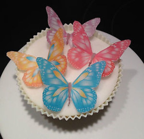 Butterfly x24 cupcake - x24,