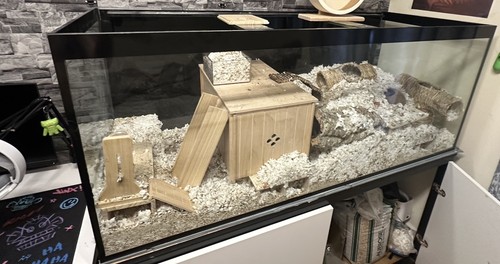 150x60x60 glass fish tank - tank, with
