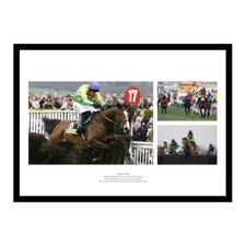 Kauto Star Montage Horse