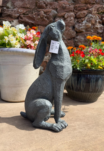 Moon gazing hare - gazing,