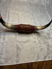 Vintage Mounted Steer Bull