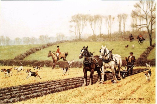 Startled horse ploughing - 'startled',