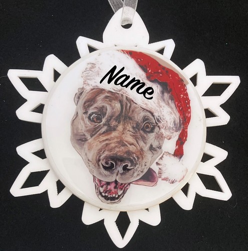 Santa pit bull terrier dog - pit,