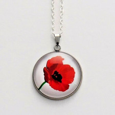 Single Red Poppy -White