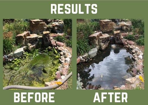 Pond algae treatment - treatment, blanket