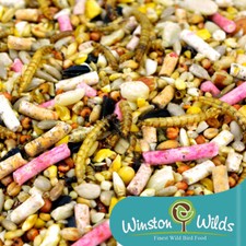 Deluxe Wild Bird Seed. Suet Pellets + Mealworms, Finest Grade,Winston Wilds