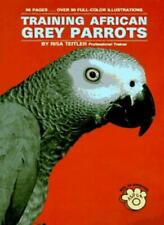 Training African Grey