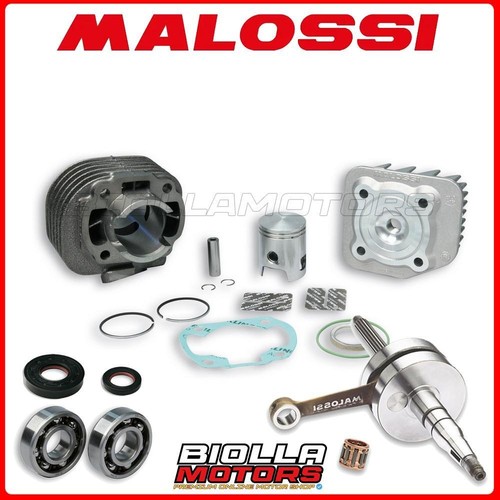 Cylinder kit shaft - cylinder, malossi