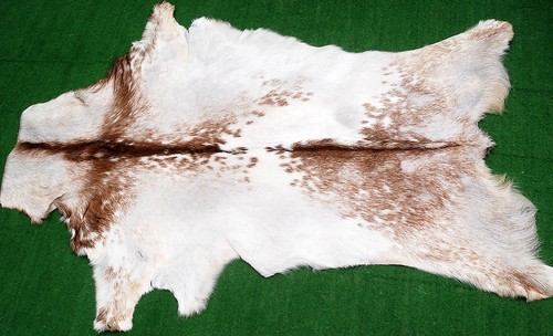 New goat hide - new,