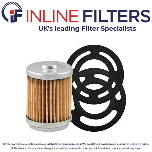 Fuel filter for bowser - for, briggs